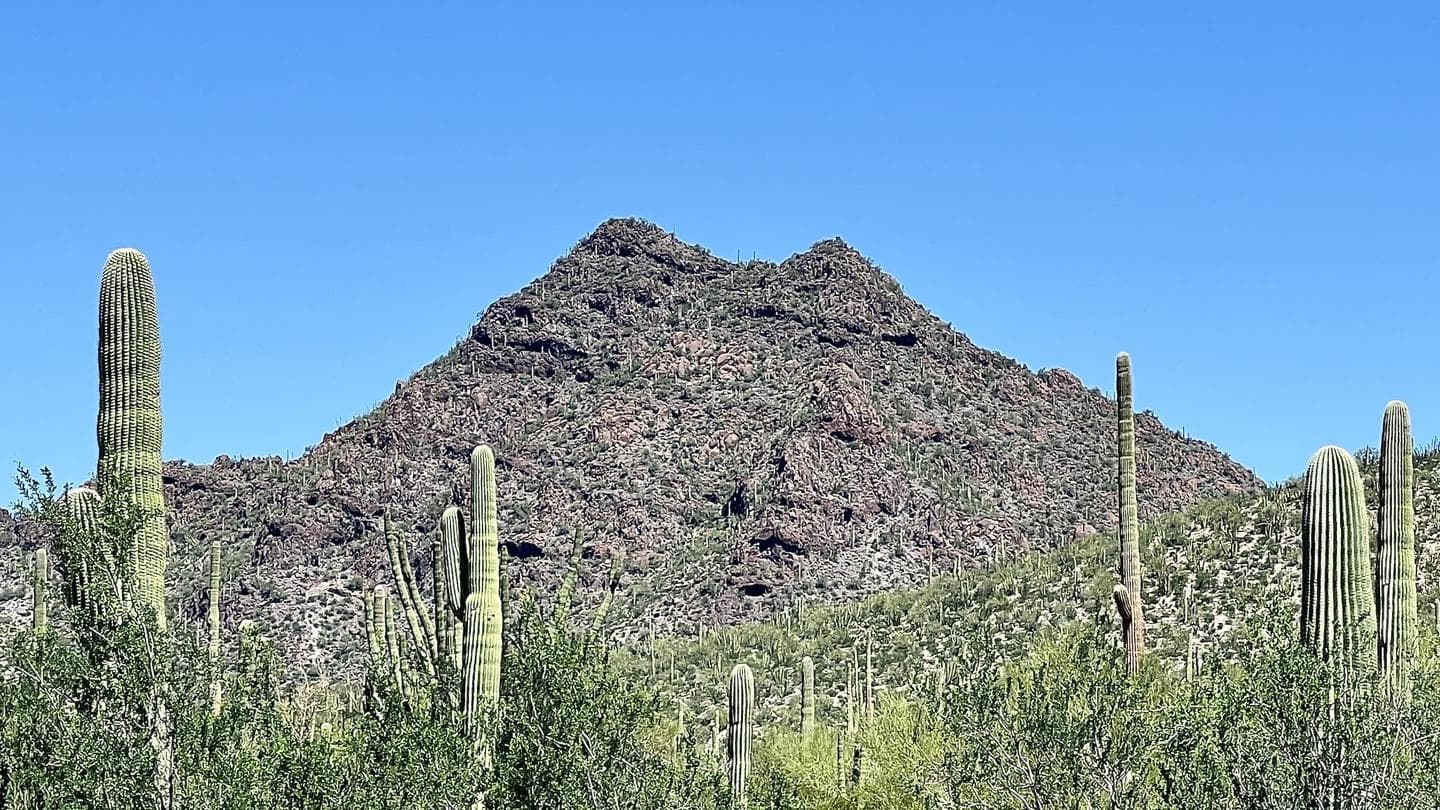 Twin Peaks Campground campground at Organ Pipe Cactus National Monument, Arizona