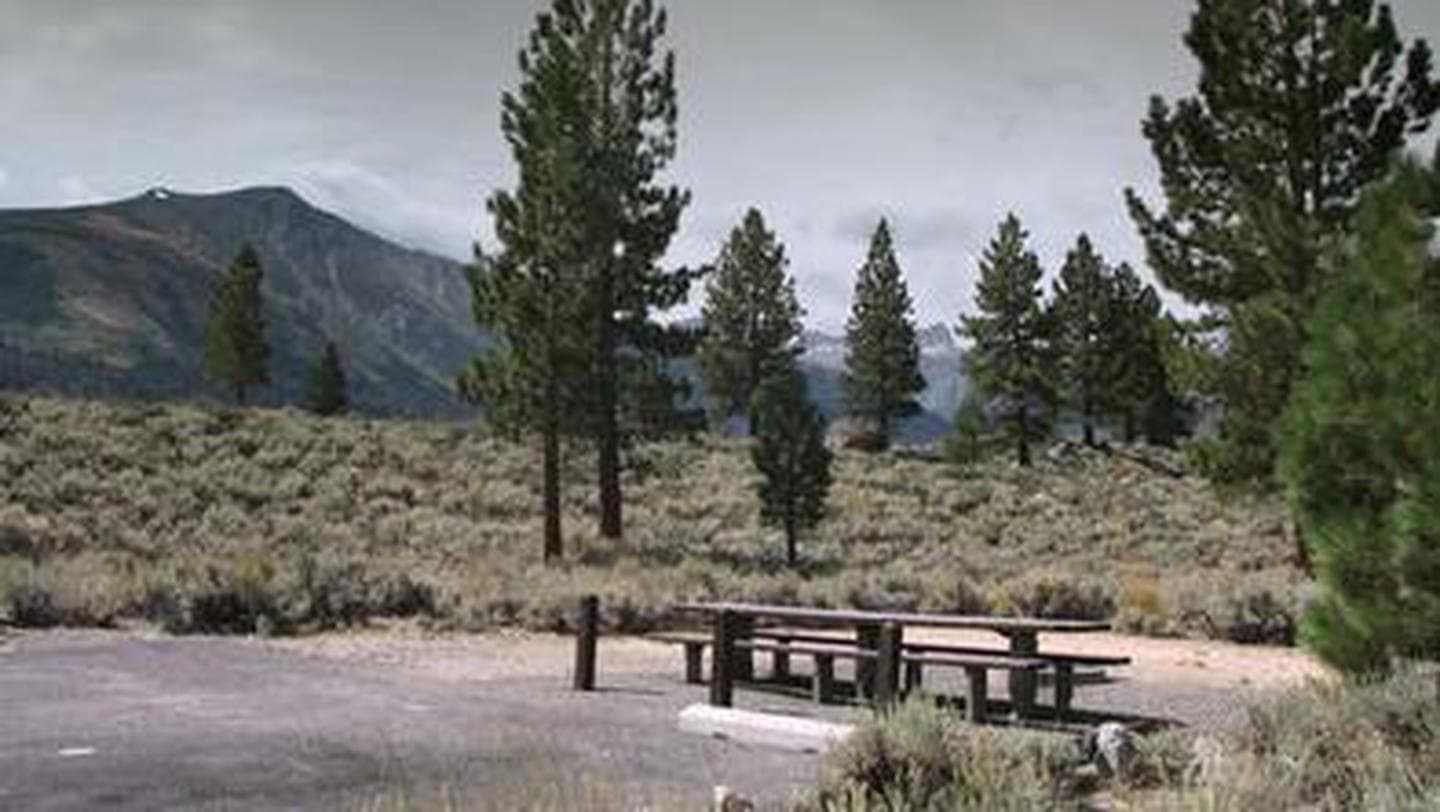 A campsite and picnic table featured with mountains and trees in the distance.