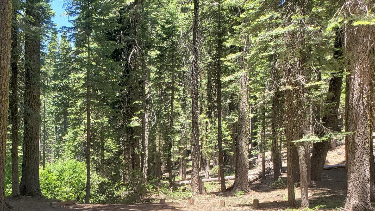 Grizzly Creek Campgorund