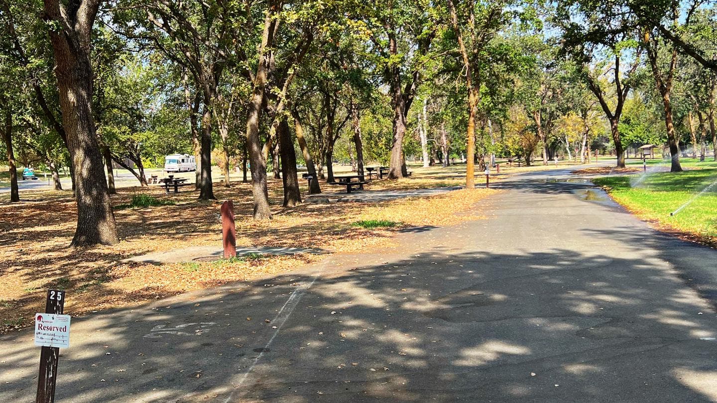 Sycamore Grove Campground