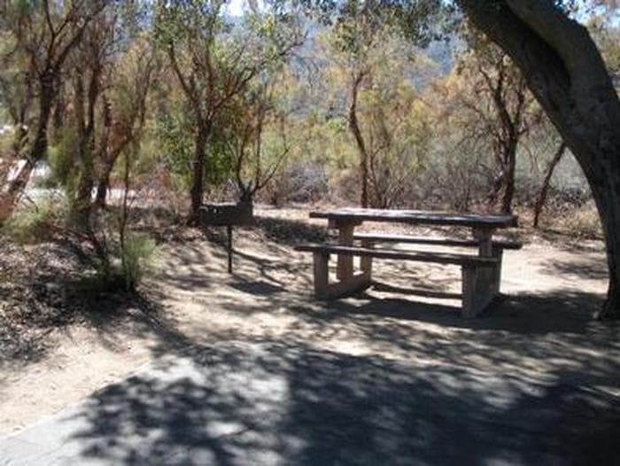 Picnic table and grill under the shade of a large tree.