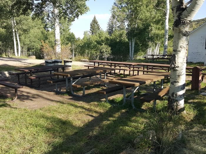 Gooseberry Picnic Tables