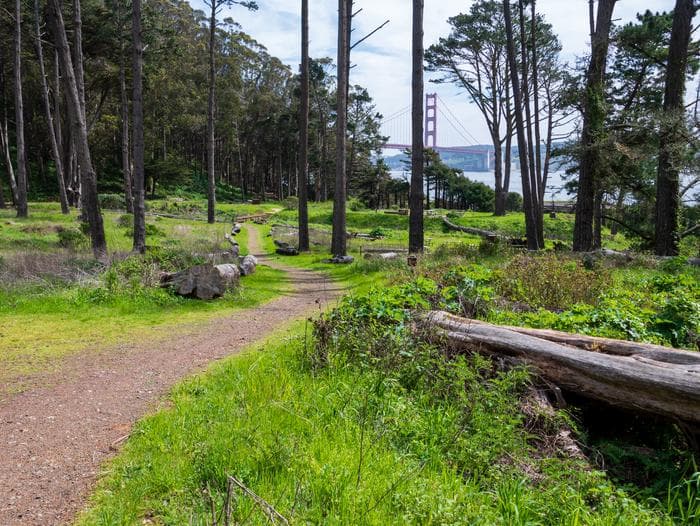 Dirt path leading through Kirby Cove Campground. Through the tall trees, there is a view of the Golden Gate Bridge.