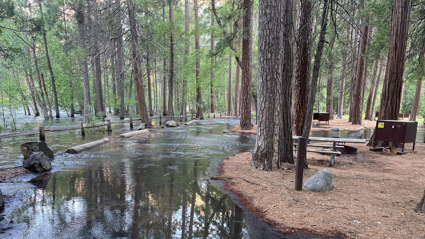 North Pines flooded campground