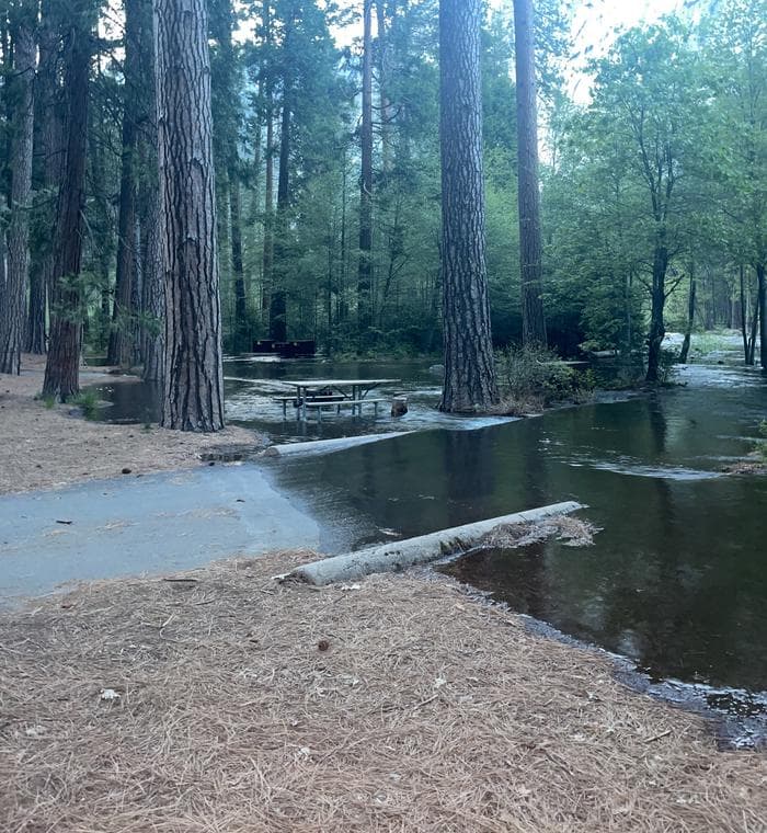 Flooding in Lower Pines #62