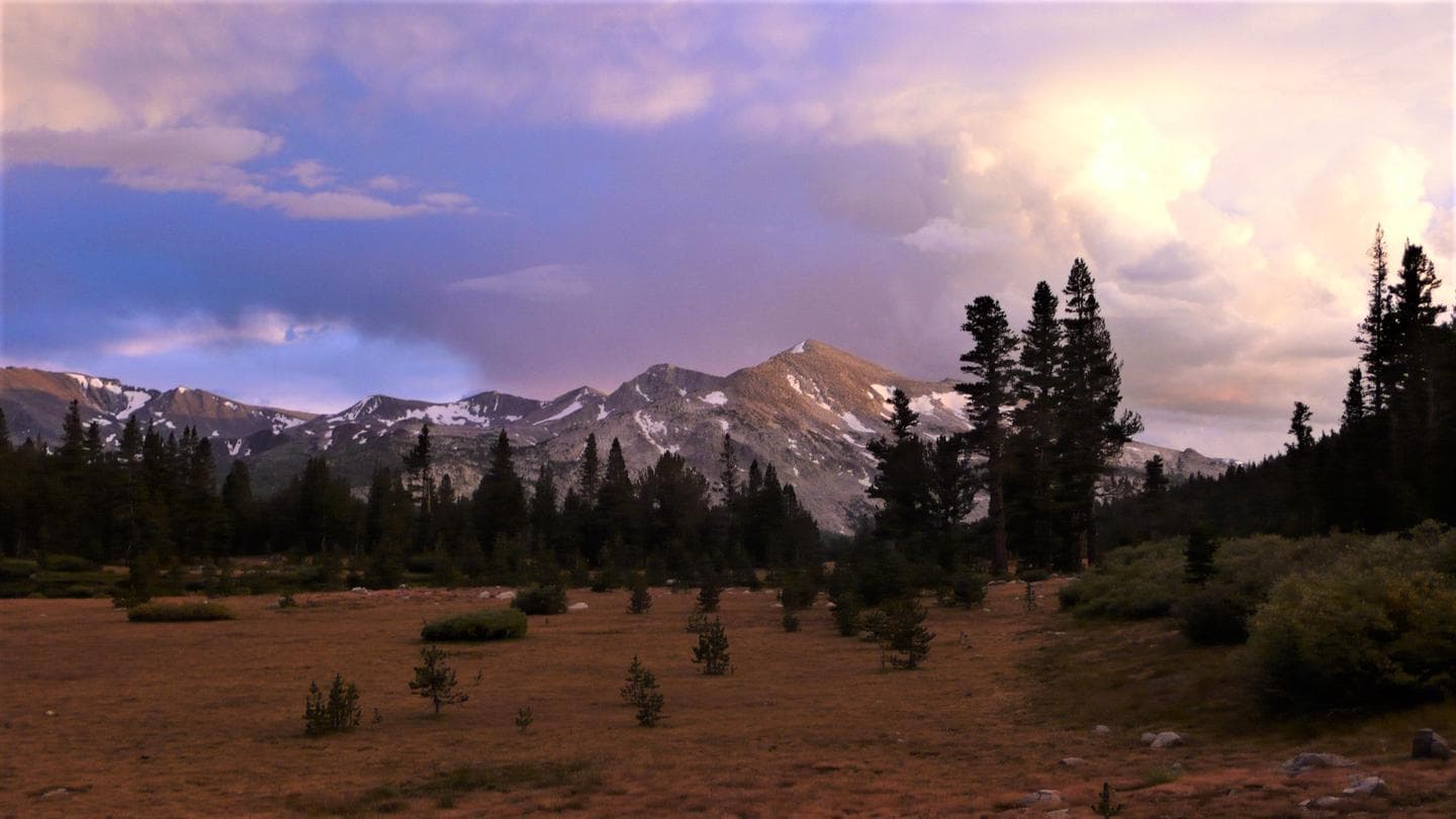 Meadow and mountain view in Tuolumne area