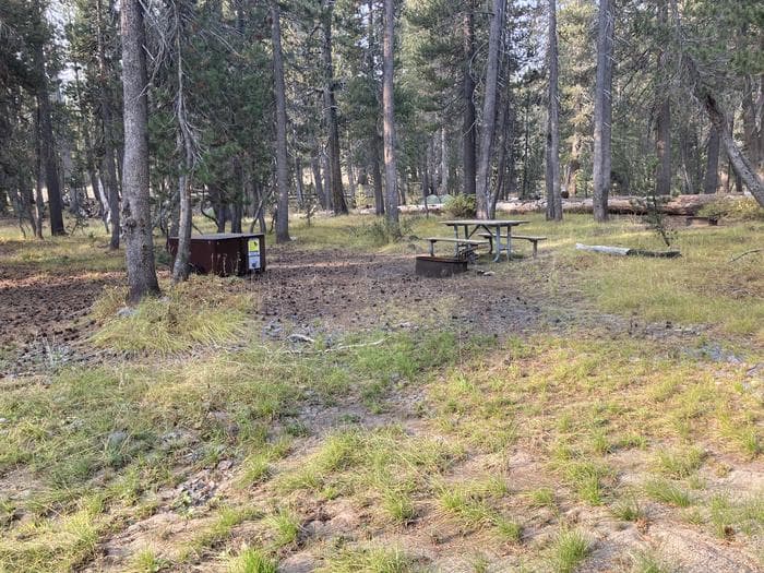 Campsite 3 at Porcupine Flat