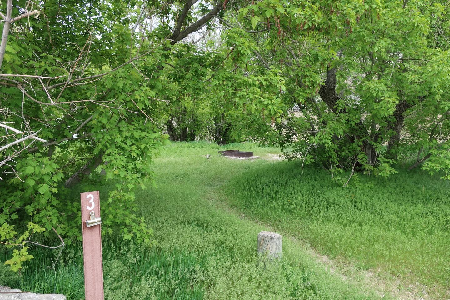 Campsite 3 Rainbow Park campground