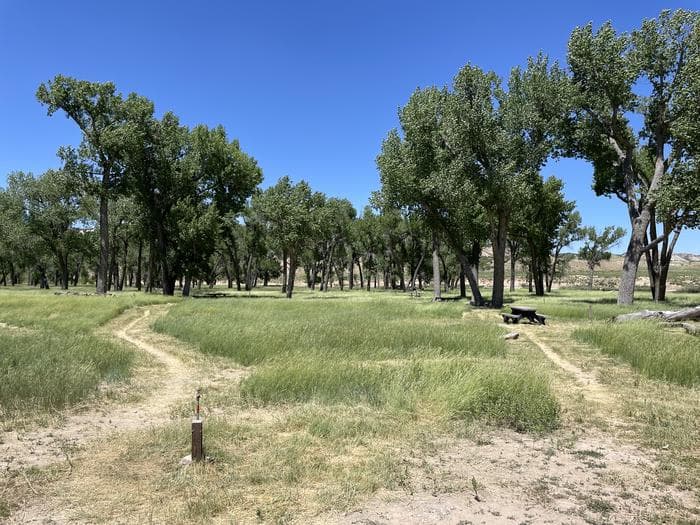 A photo of facility Deerlodge Park Campground showing sandy dirt trails that lead to the walk-in sites