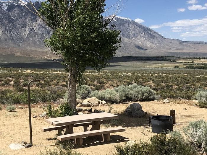 Horton Creek Campsite