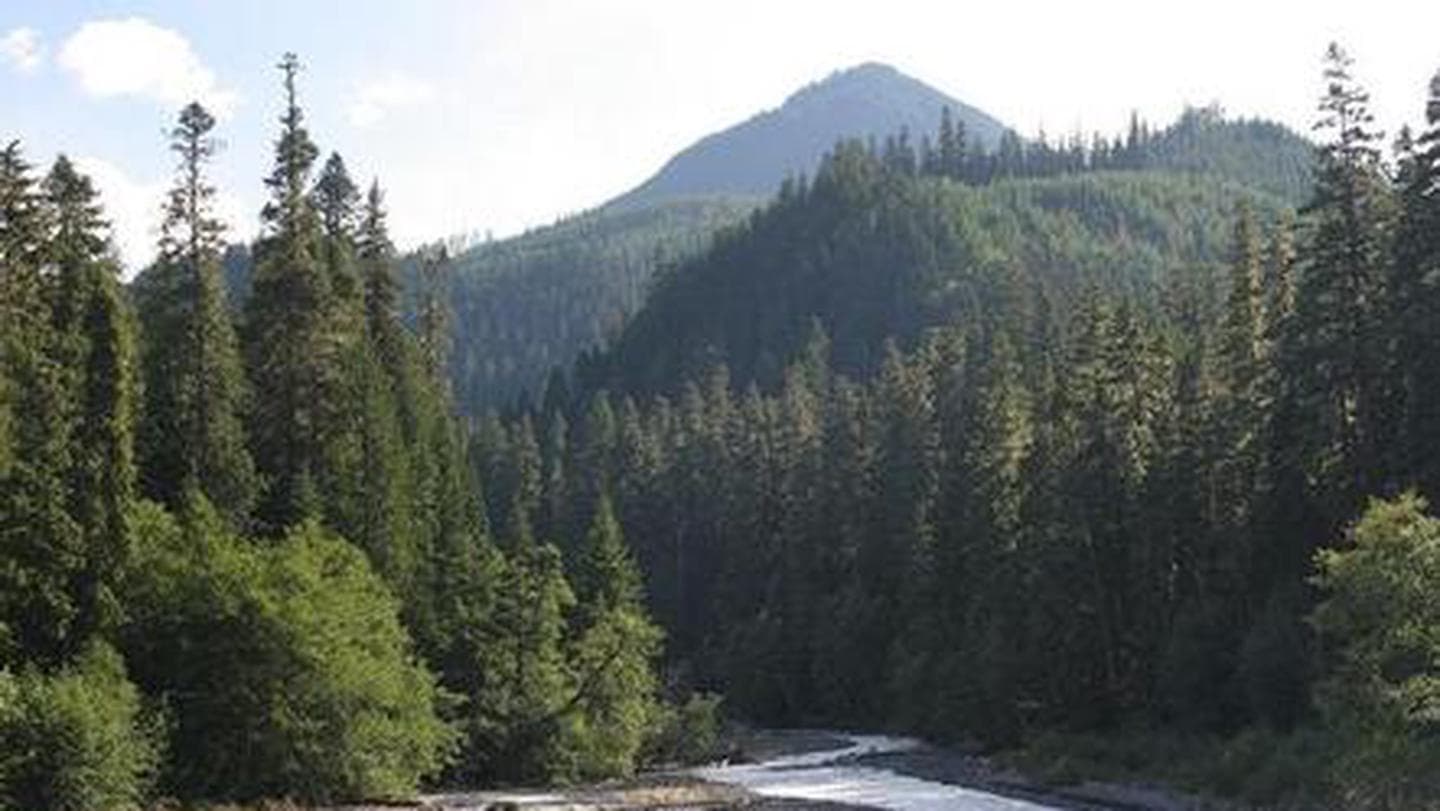 The Dalles Campground