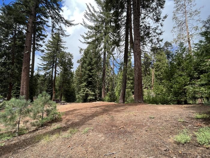 Crystal Springs Campground Mid-Sized Group Sites