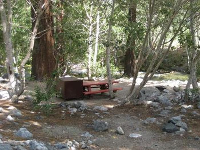 Upper Sage campsite includes a picnic table and bear box. This campsite is adjacent to a creek and nestled in a pine forest.