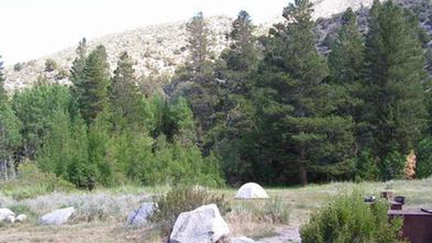 Rocky boulders and shrub grasses in a campground