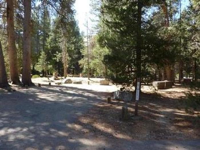 Campsites in a shaded grove