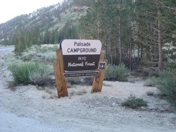 A brown and yellow Forest Service sign for Palisade Campgroud