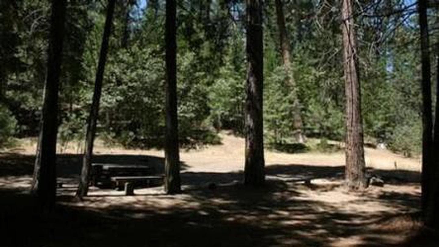 A picnic table under a shady grove