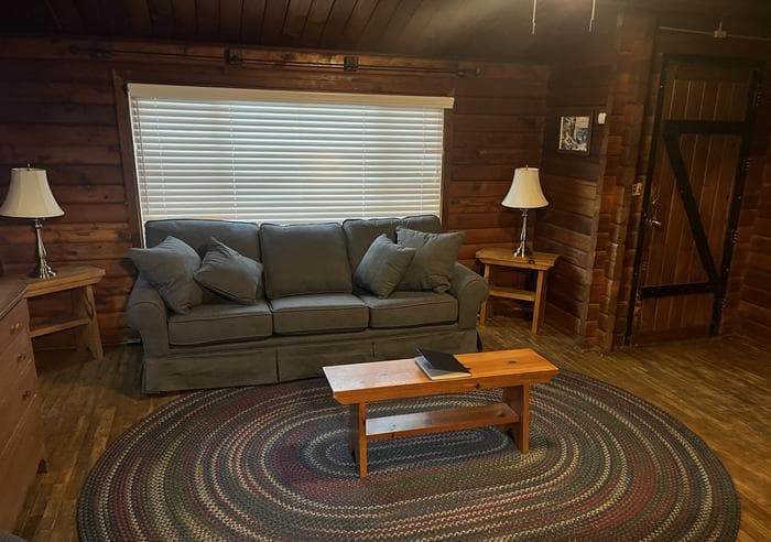 Living room with pull-out couch