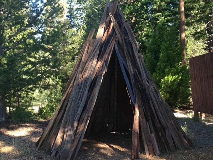 View of indigenous Washoe Gadu shelter surrounded by evergreen trees.