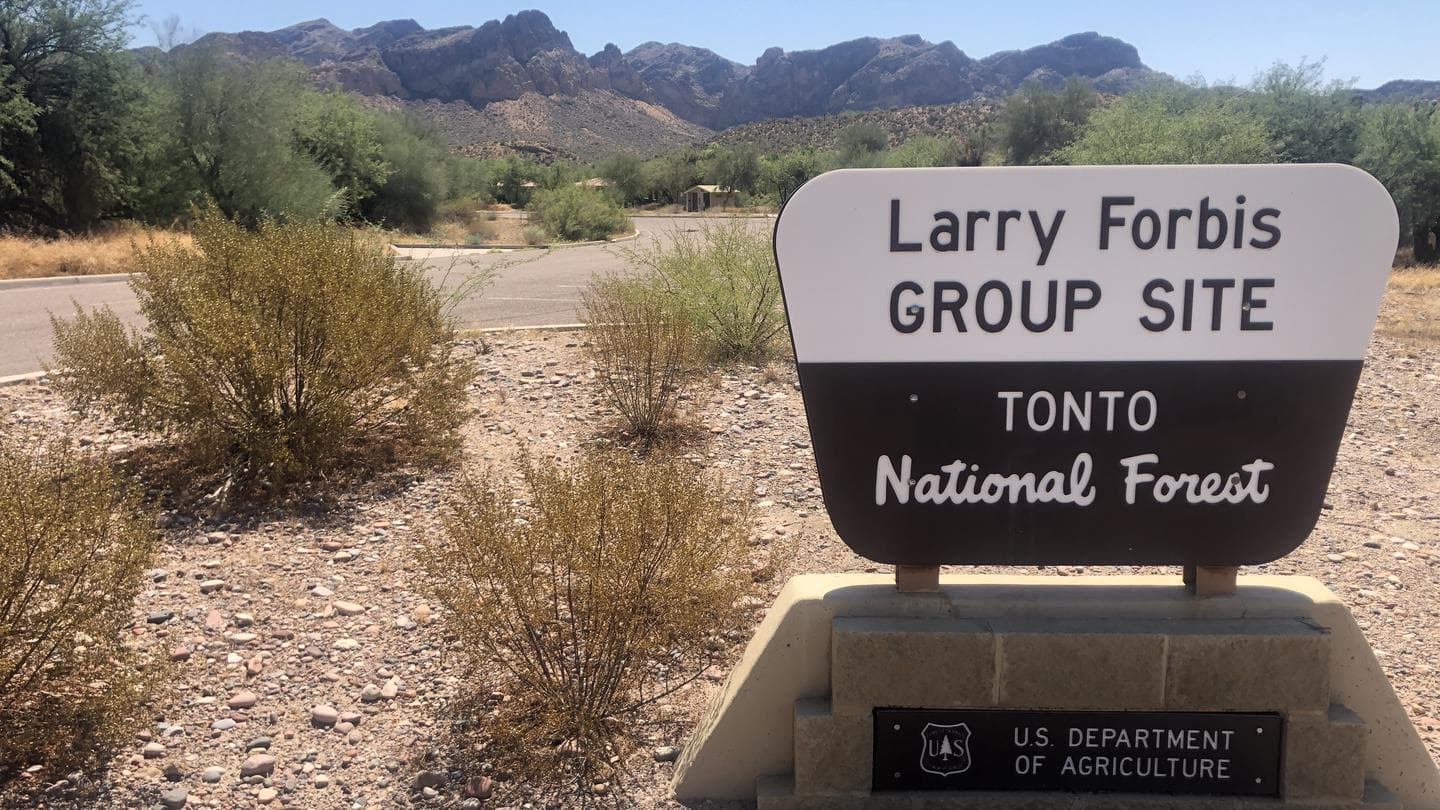 Entry view of portal sign to Larry Forbis group site