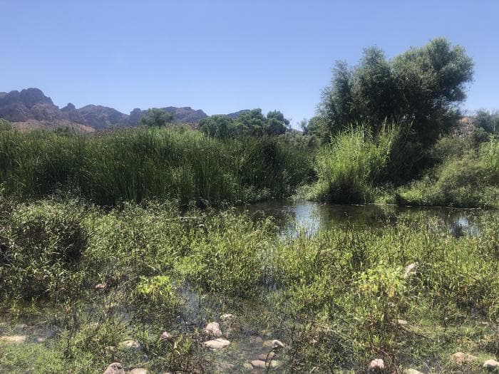 Larry Forbis Day Use Group Site