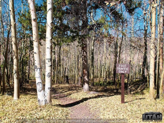 Stateline Campground Long Term