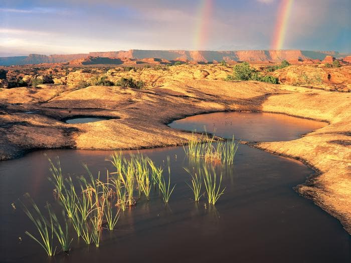 Canyonlands National Park Needles District GROUP Campsites