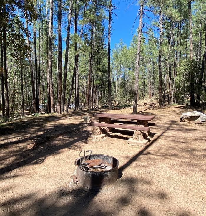 Campsite in Upper Tonto Creek Campground