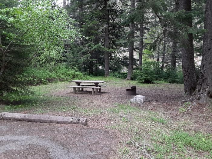 Campsite at Honeysuckle Campground