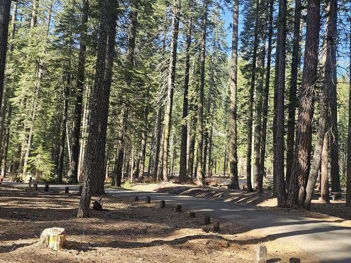 Gurnsey Creek Group Campground