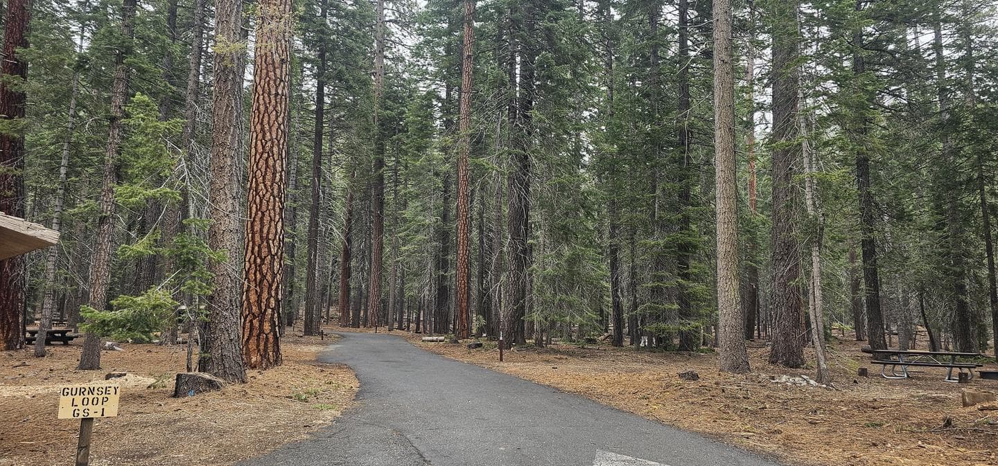 Gurnsey Creek Group Loop 1