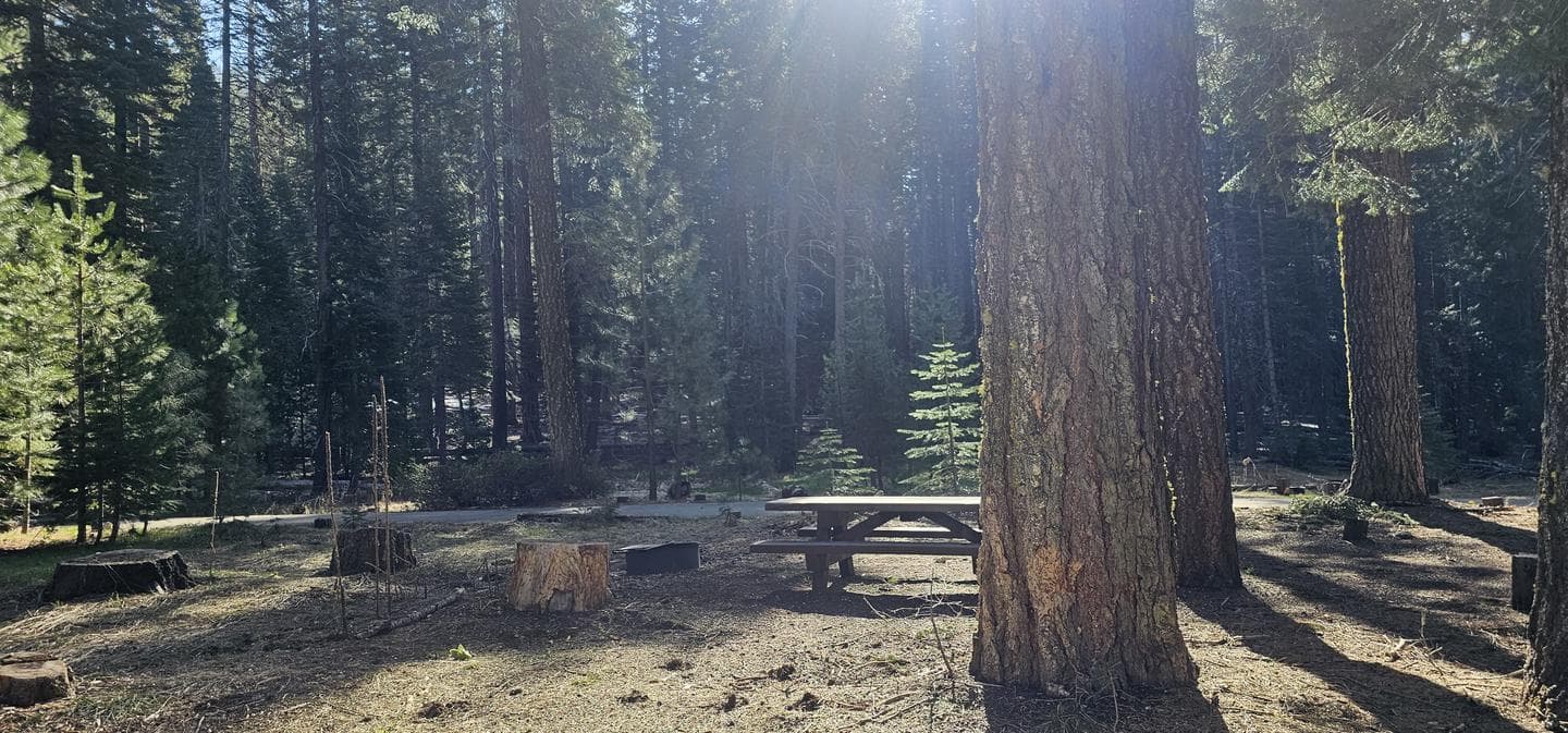 Campsites at Gurnsey Creek are well spaced and unique.