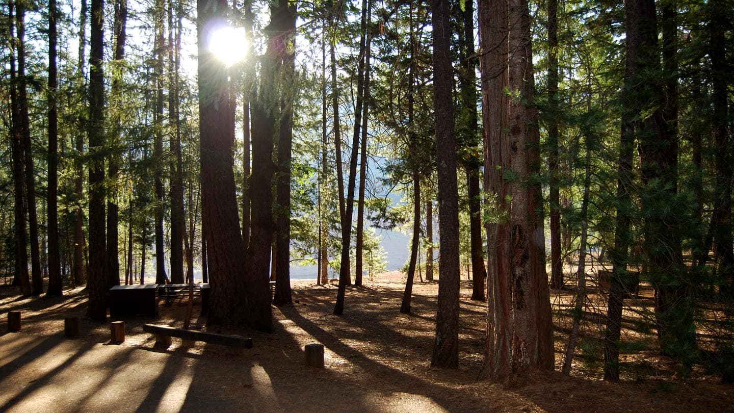 Hayward Flat landscape