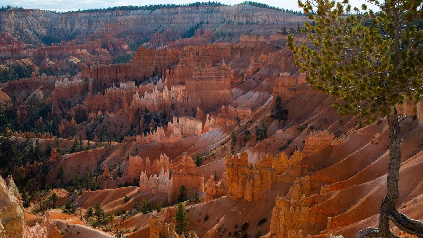 View of hoodoo formations from Sunset Point, Bryce Canyon National Park
