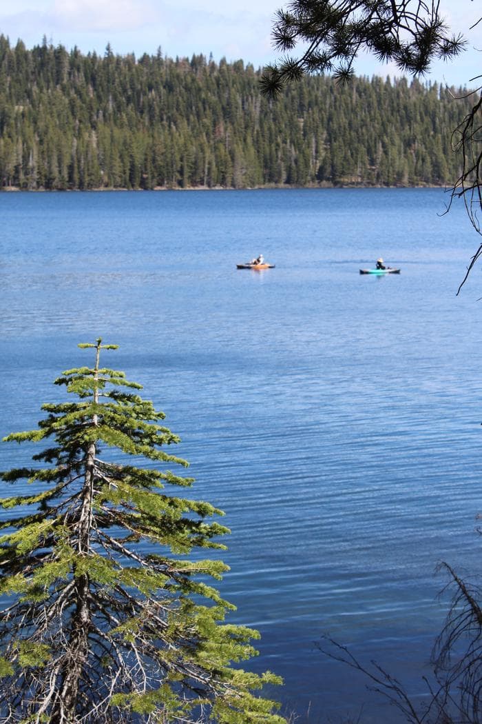 Plumas National Forest