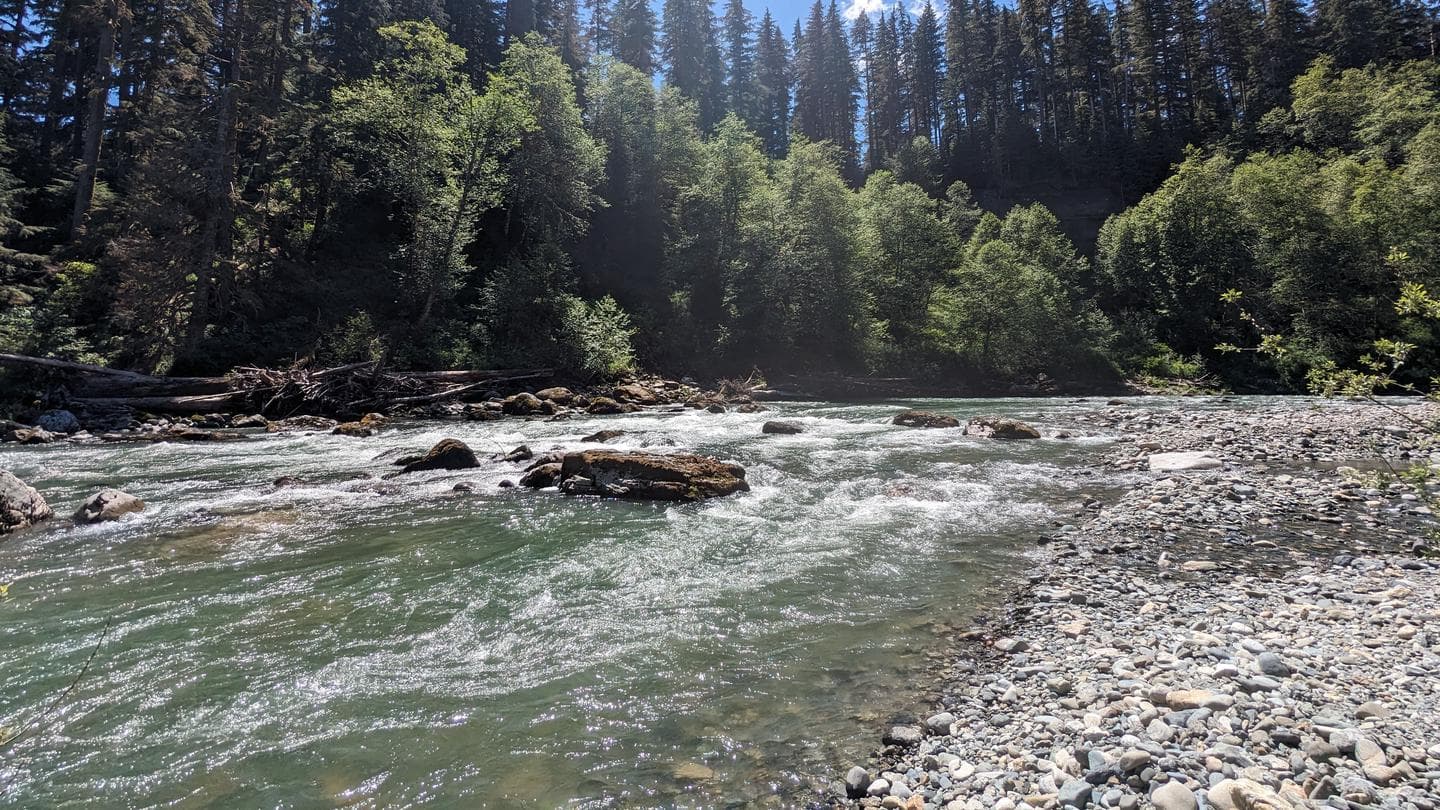 Wiley Creek Group Camp