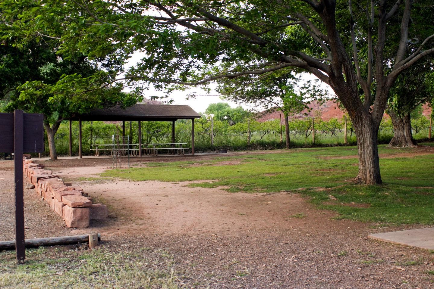 A grassy area. A couple of trees are in the area. A pavilion with picnic tables is in the background.