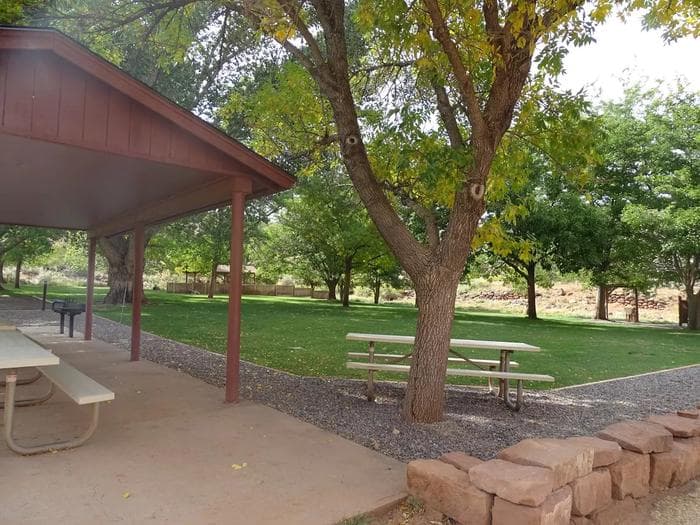 A large tree is in front of a white picnic table. A brown pavilion is to the left, a white picnic table is underneath it and the picnic table is on top of concrete. A grassy area with many trees are in the background.