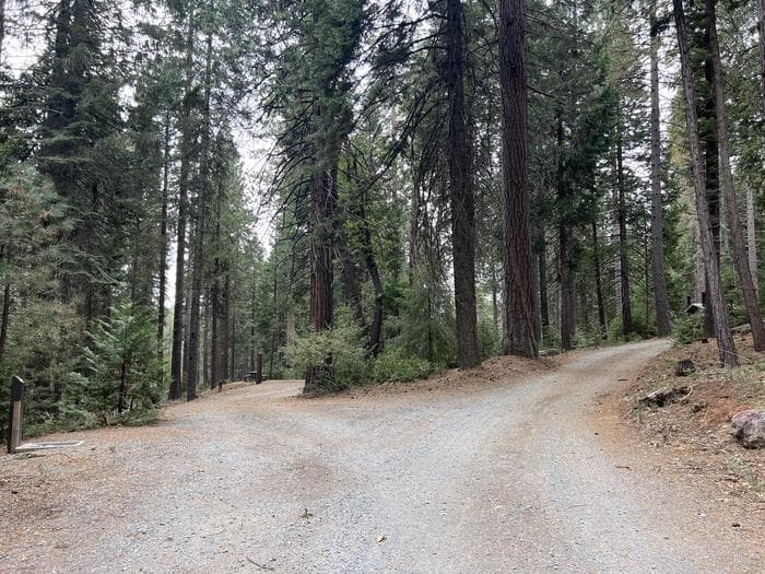 Ponderosa Cove Campground