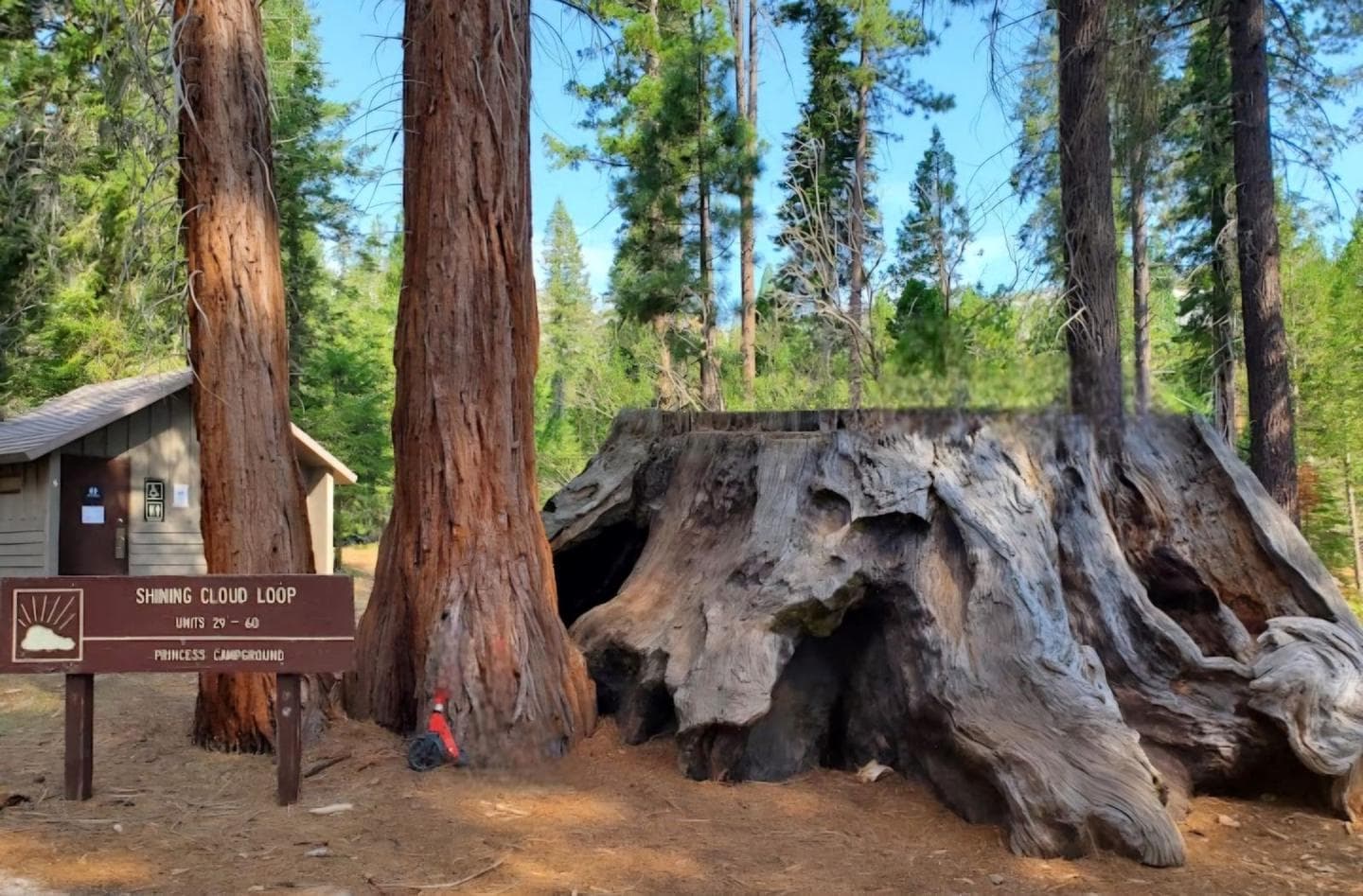 Shining Cloud Loop at Princess Campground