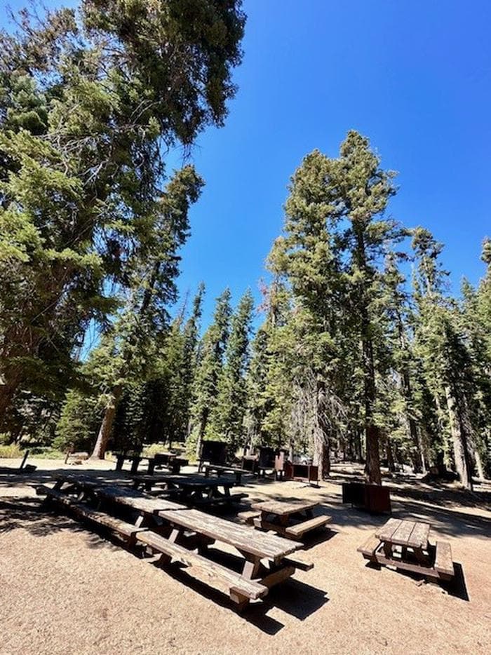 Fir Group Campground/3