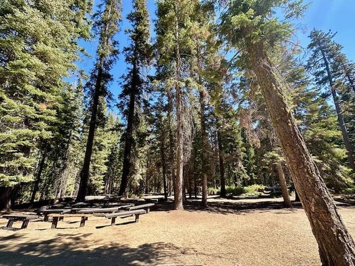 Fir Group Campground