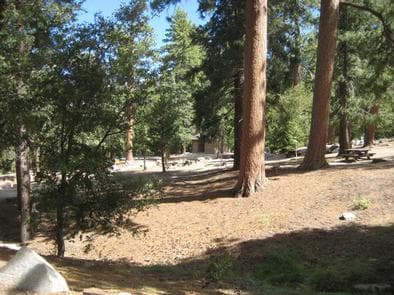 Marion Mountain Campground