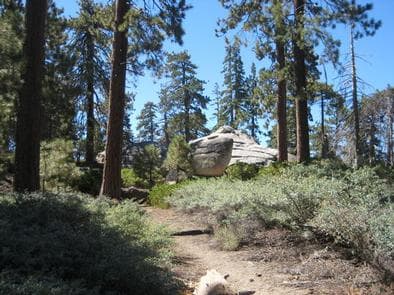Scenic View from Bluff Mesa Group Camp