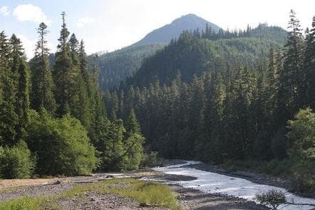 The Dalles Campground