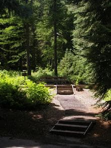 Spruces - Big Cottonwood