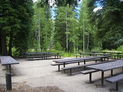 Spruces - Big Cottonwood