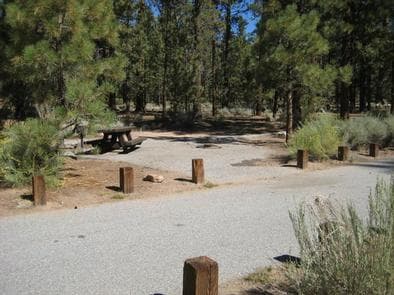 Heart Bar Campground Picnic Tables.