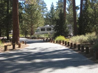 Road leading to Heart Bar Campground