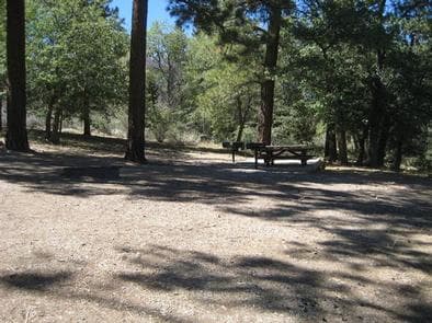 Naturally Shaded Area at Green Spot Equestrian Group Camp